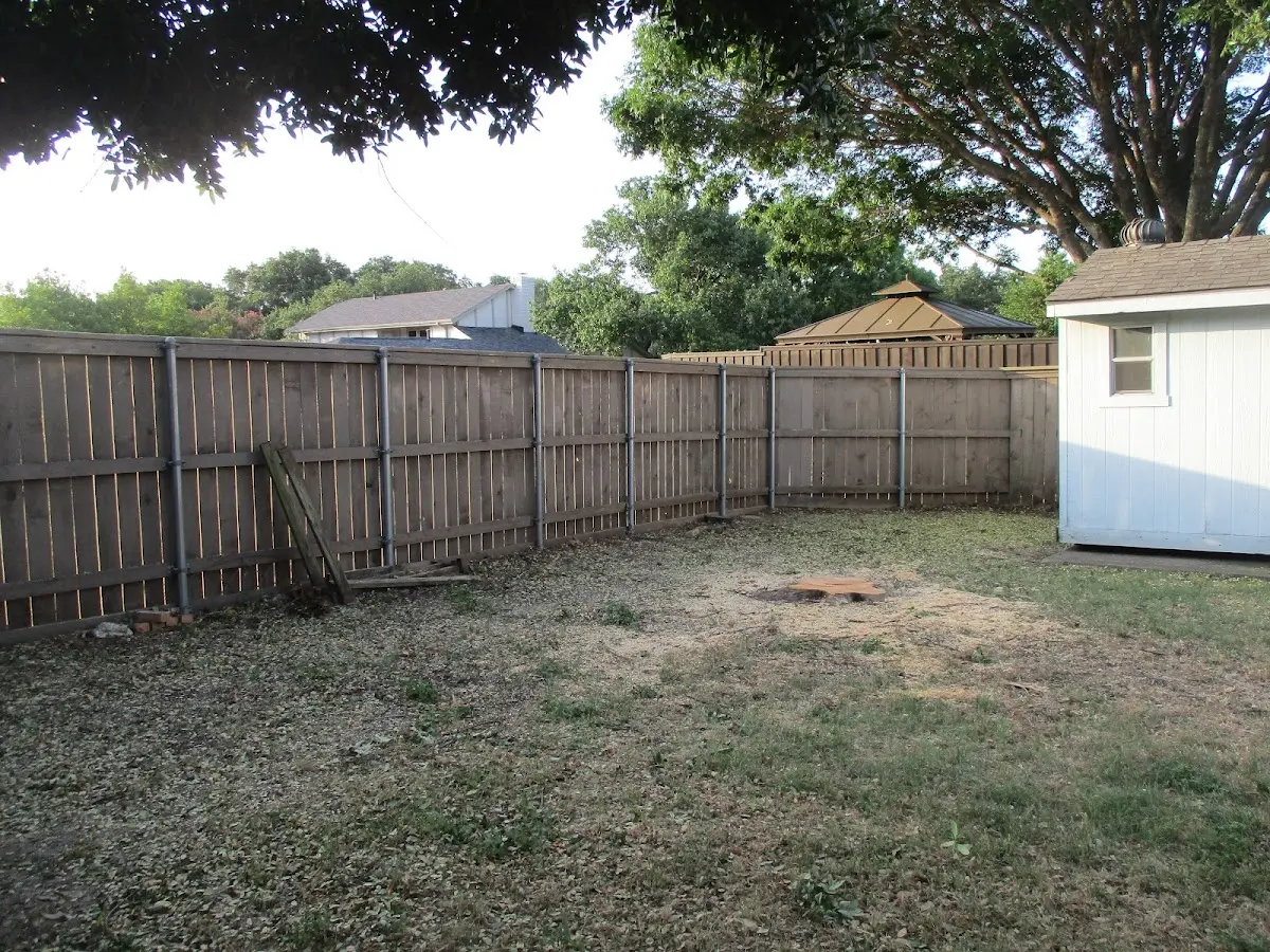 Cleared yard after professional tree removal in Sterling Forest